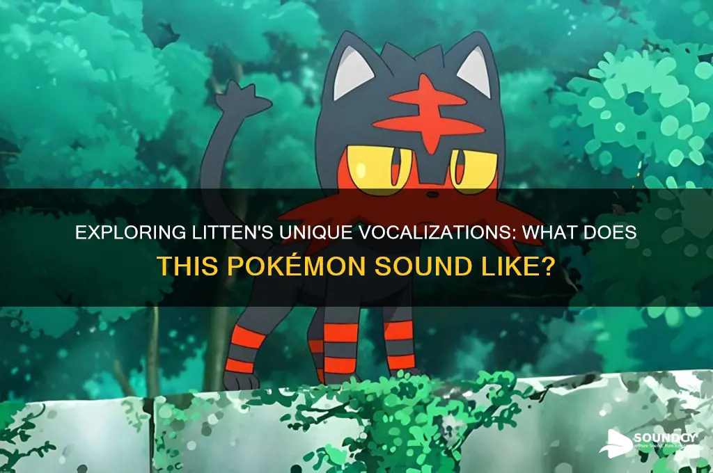 what does litten sound like