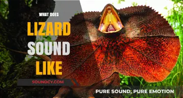 Unveiling the Unique Sounds of Lizards: A Comprehensive Guide