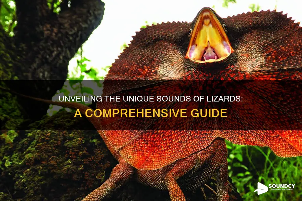 what does lizard sound like