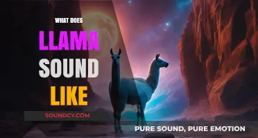 Unveiling the Unique Vocalizations: What Does a Llama Sound Like?