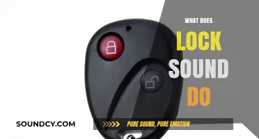 Understanding the Purpose and Function of Lock Sound Alerts