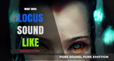 Exploring the Sonic Identity: What Does Locus Sound Like?