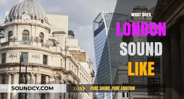 London's Sonic Tapestry: A Symphony of City Life and Culture