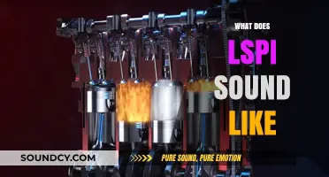 Unveiling the Unique Auditory Experience: What Does LSPI Sound Like?