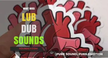 Understanding the Lub Dub: Decoding Your Heart's Unique Sound