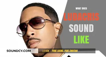 Unraveling Ludacris' Unique Rap Style: Voice, Flow, and Signature Sound