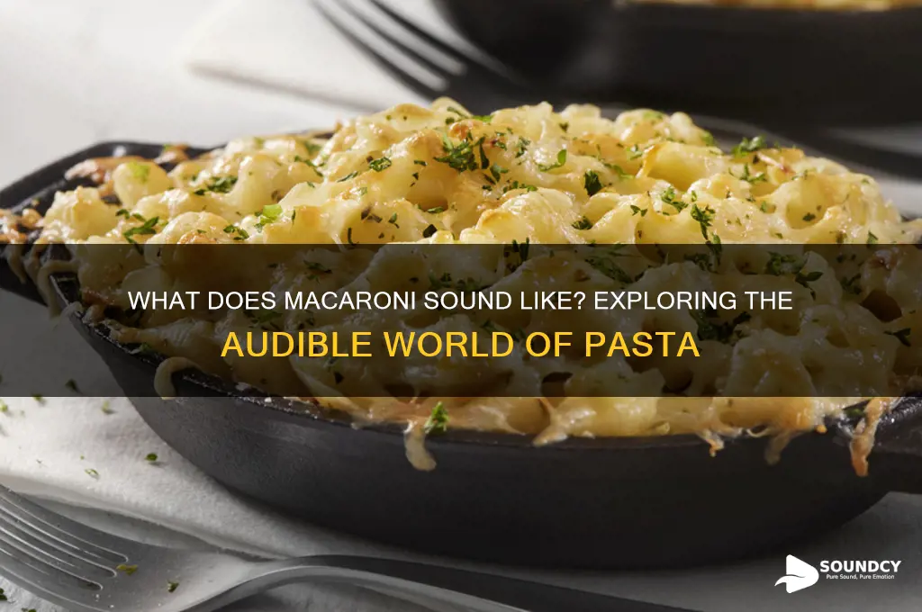 what does macaroni sound like