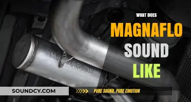 Experience the Deep, Aggressive Roar of Magnaflow Exhaust Systems