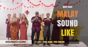 Exploring the Unique Melody and Rhythm of the Malay Language
