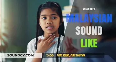 Exploring the Unique Melodies and Rhythms of Malaysian Speech Patterns