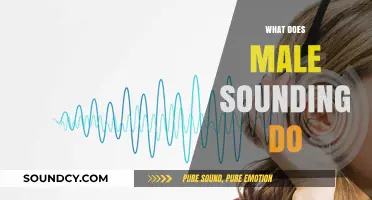 Understanding Male-Sounding Voices: Impact, Perception, and Cultural Significance