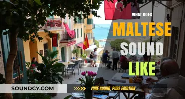 Discover the Unique Melody: What Does Maltese Sound Like?