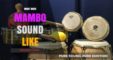 Exploring the Vibrant Rhythms and Soulful Melodies of Mambo Music