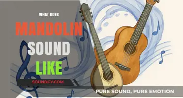 Discover the Unique, Bright, and Expressive Sound of a Mandolin