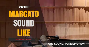 Understanding Marcato: A Distinctive Musical Accent and Its Unique Sound