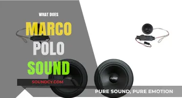 Exploring the Iconic Marco Polo Sound: Origins, Meaning, and Cultural Impact