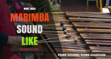 Exploring the Rich, Resonant, and Vibrant Sound of the Marimba