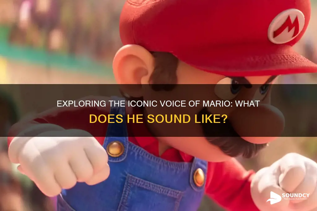 what does mario sound like