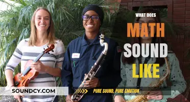 Exploring the Musical Harmony of Math: What Does Math Sound Like?