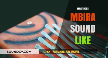 Exploring the Unique, Haunting, and Soulful Sounds of the Mbira