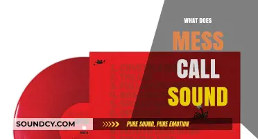 Unraveling the Mystery: What Does a Mess Call Sound Like?