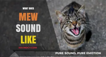 Unveiling the Mystery: What Does a Mew Sound Like?