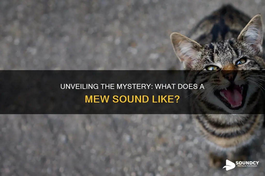 what does mew sound like