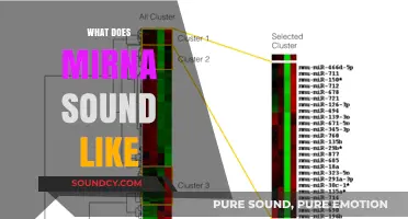 Unveiling the Enigmatic Sounds of miRNA: A Sonic Exploration
