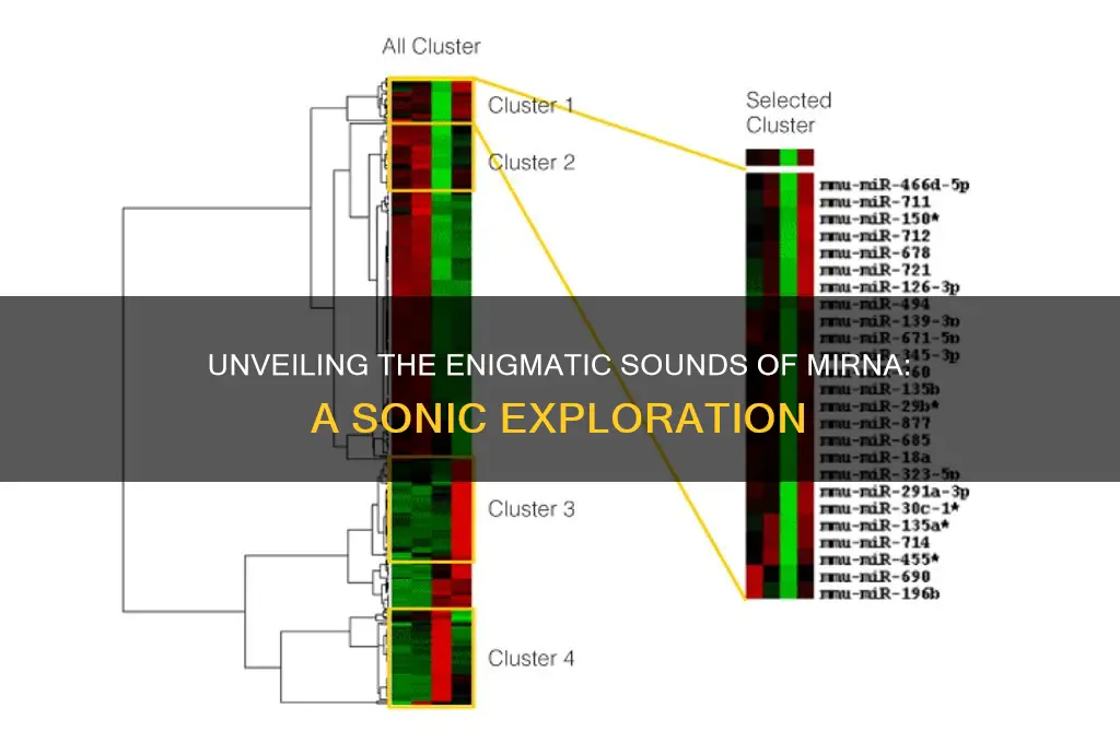 what does mirna sound like