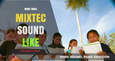 Exploring the Unique Phonetics and Melodies of Mixtec Language Sounds