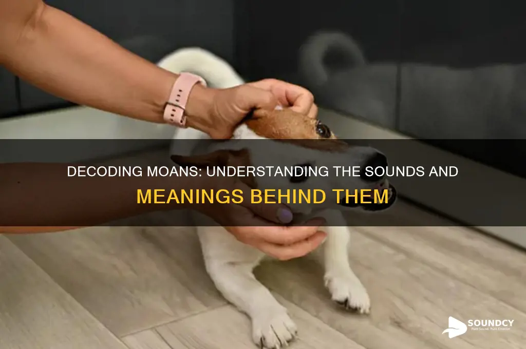 what does moaning sound like