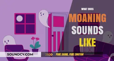 Decoding Moans: Understanding the Sounds and Meanings Behind Them