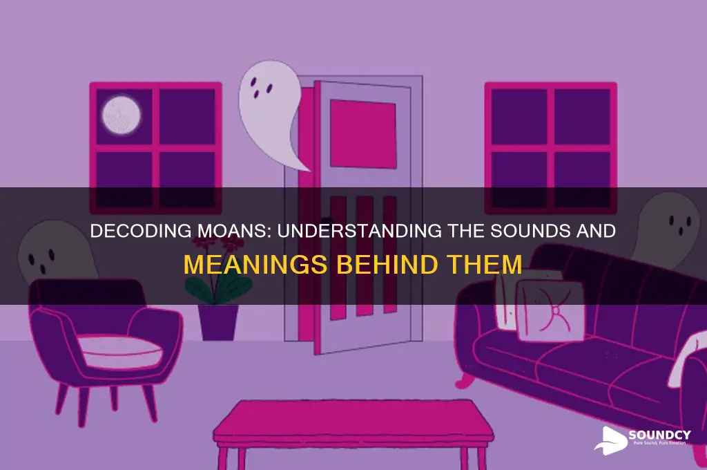 what does moaning sounds like