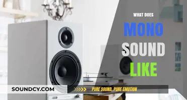 Unveiling Mono Audio: How Single-Channel Sound Shapes Listening Experiences