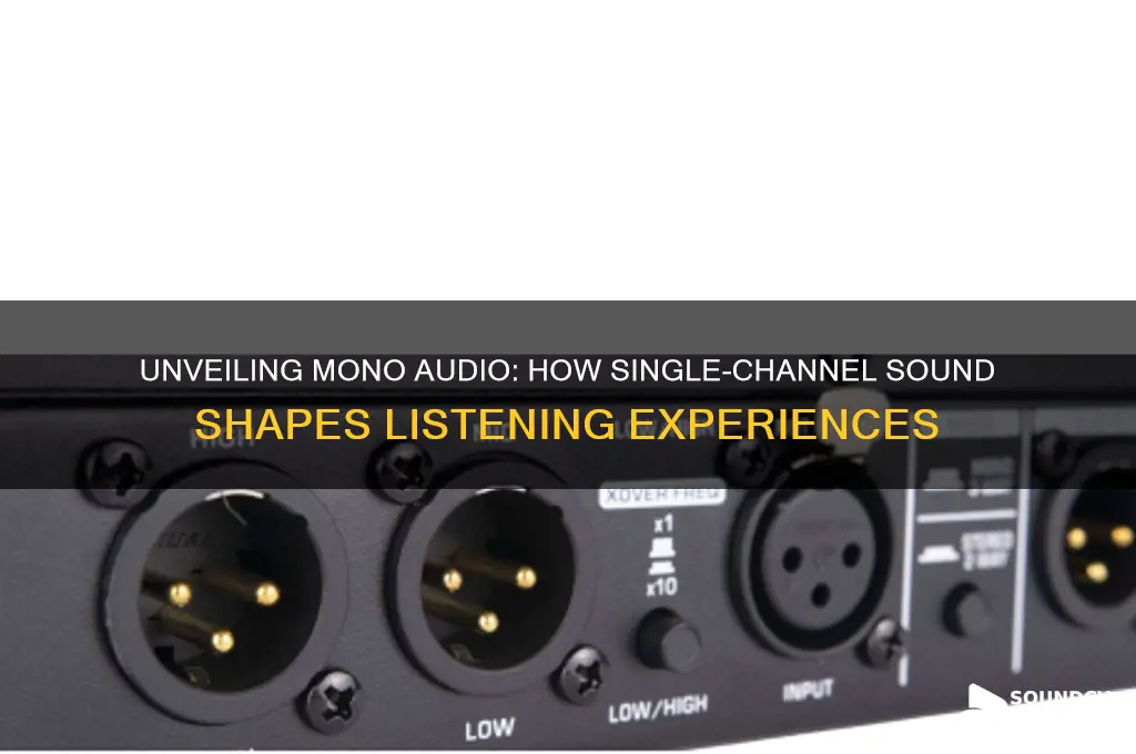 what does mono sound like