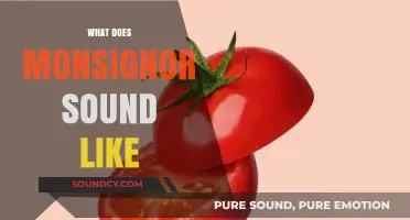What Does Monsignor Sound Like? Exploring the Pronunciation and Meaning
