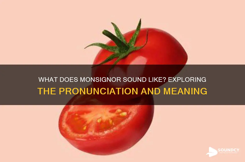 what does monsignor sound like