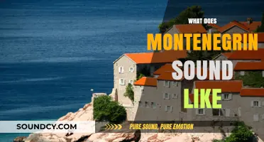 Exploring the Unique Sounds and Rhythms of Montenegrin Language