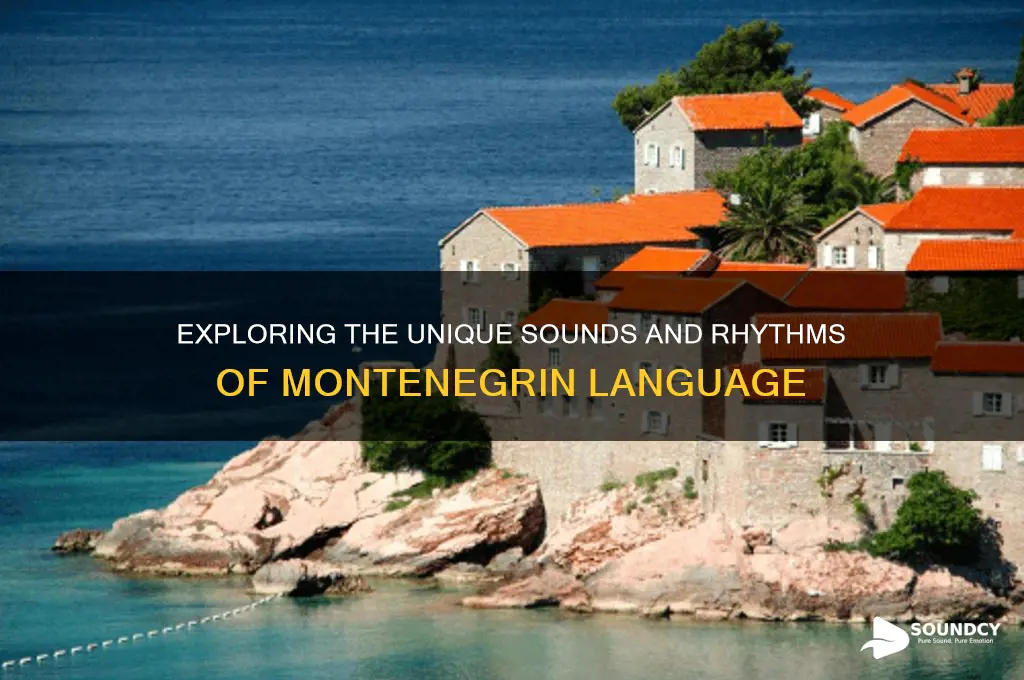 what does montenegrin sound like