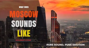Moscow's Sonic Tapestry: Exploring the City's Unique Soundscape and Rhythms