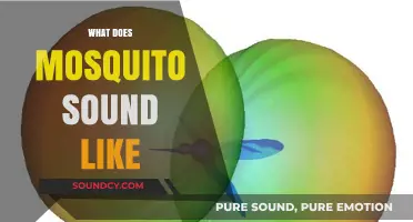 Decoding the Buzz: What Does a Mosquito Sound Like?