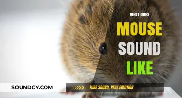 Unveiling the Tiny Squeaks: What Does a Mouse Sound Like?