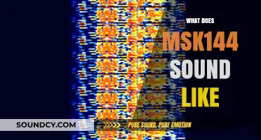 Unveiling the Unique Sonic Signature of MSK144: What to Expect