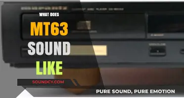 Unveiling the Unique Audio Signature of MT63 in Radio Communication