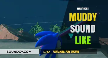 Unveiling the Sonic Texture: What Does Muddy Sound Like?