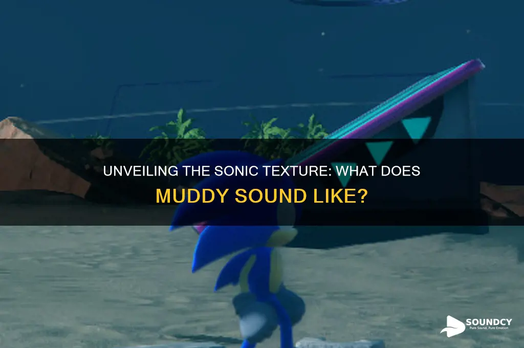 what does muddy sound like