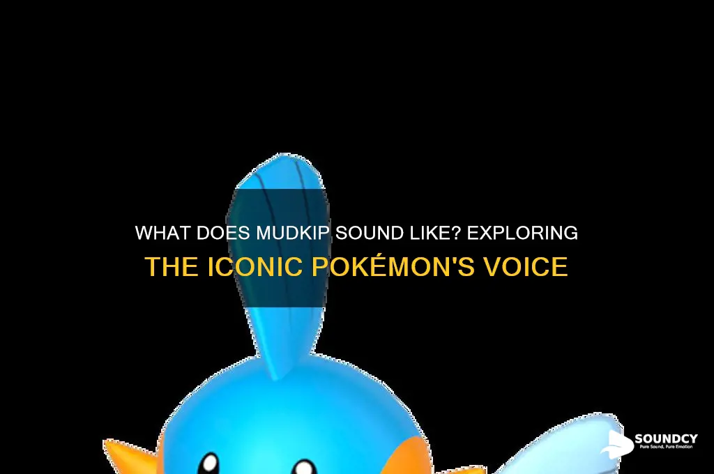 what does mudkip sound like