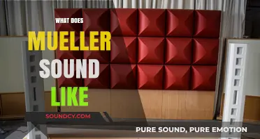 Unveiling Mueller's Voice: A Deep Dive into His Distinctive Sound