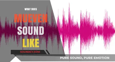 Exploring the Unique Sound of Mueven: A Sonic Journey