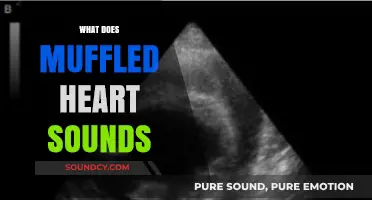 Understanding Muffled Heart Sounds: Causes, Diagnosis, and Treatment Options